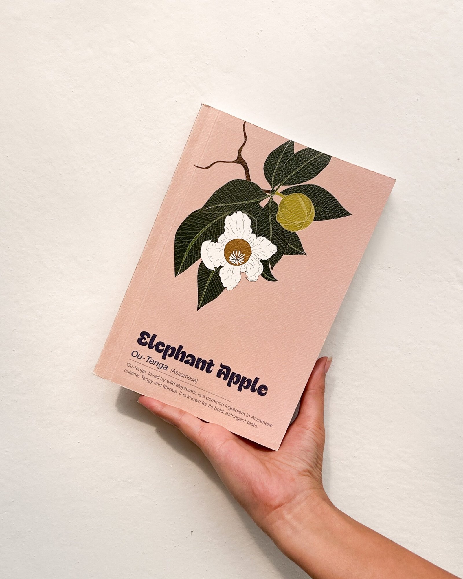 Elephant Apple - Image 1