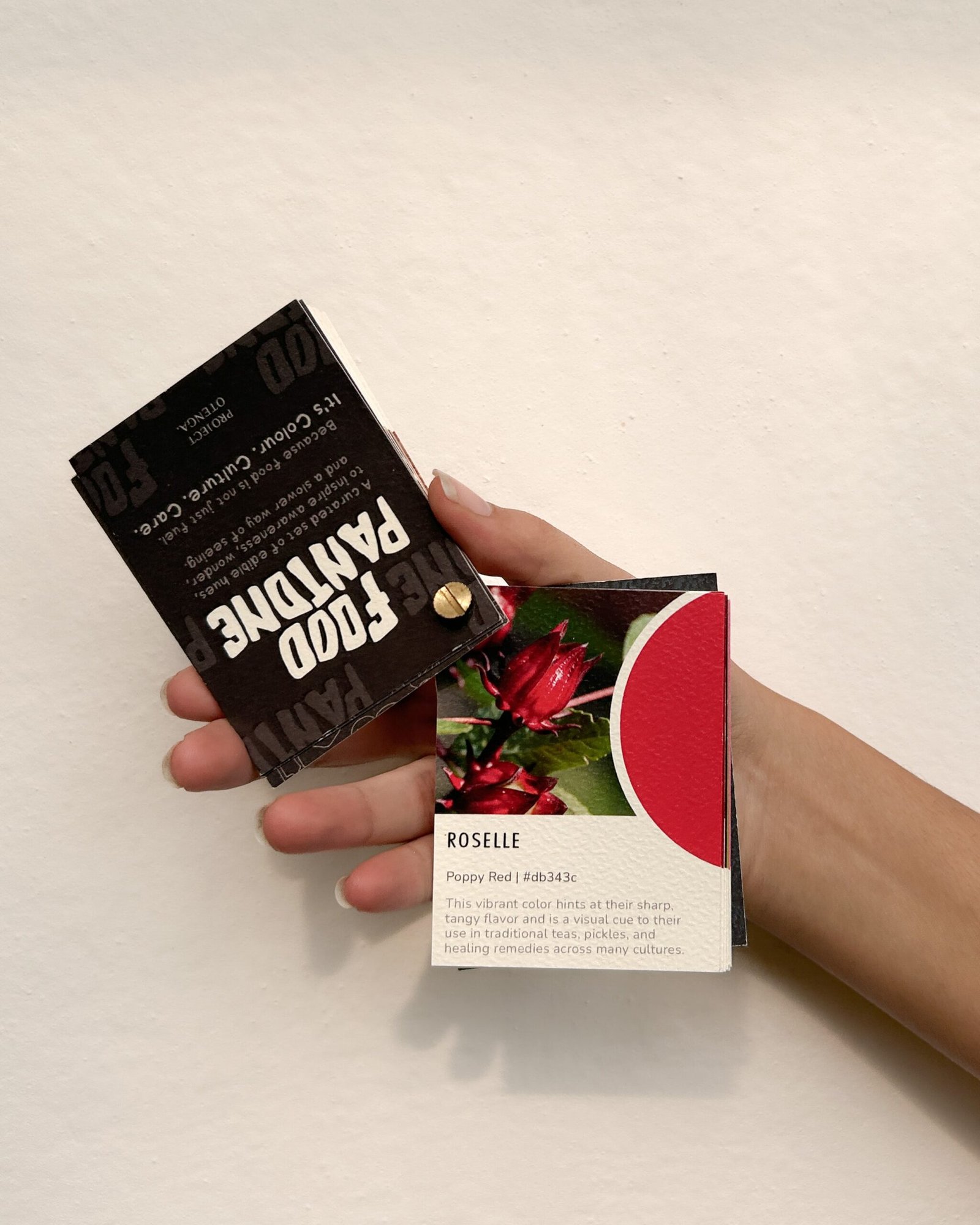 Otenga Food Pantone - Image 1