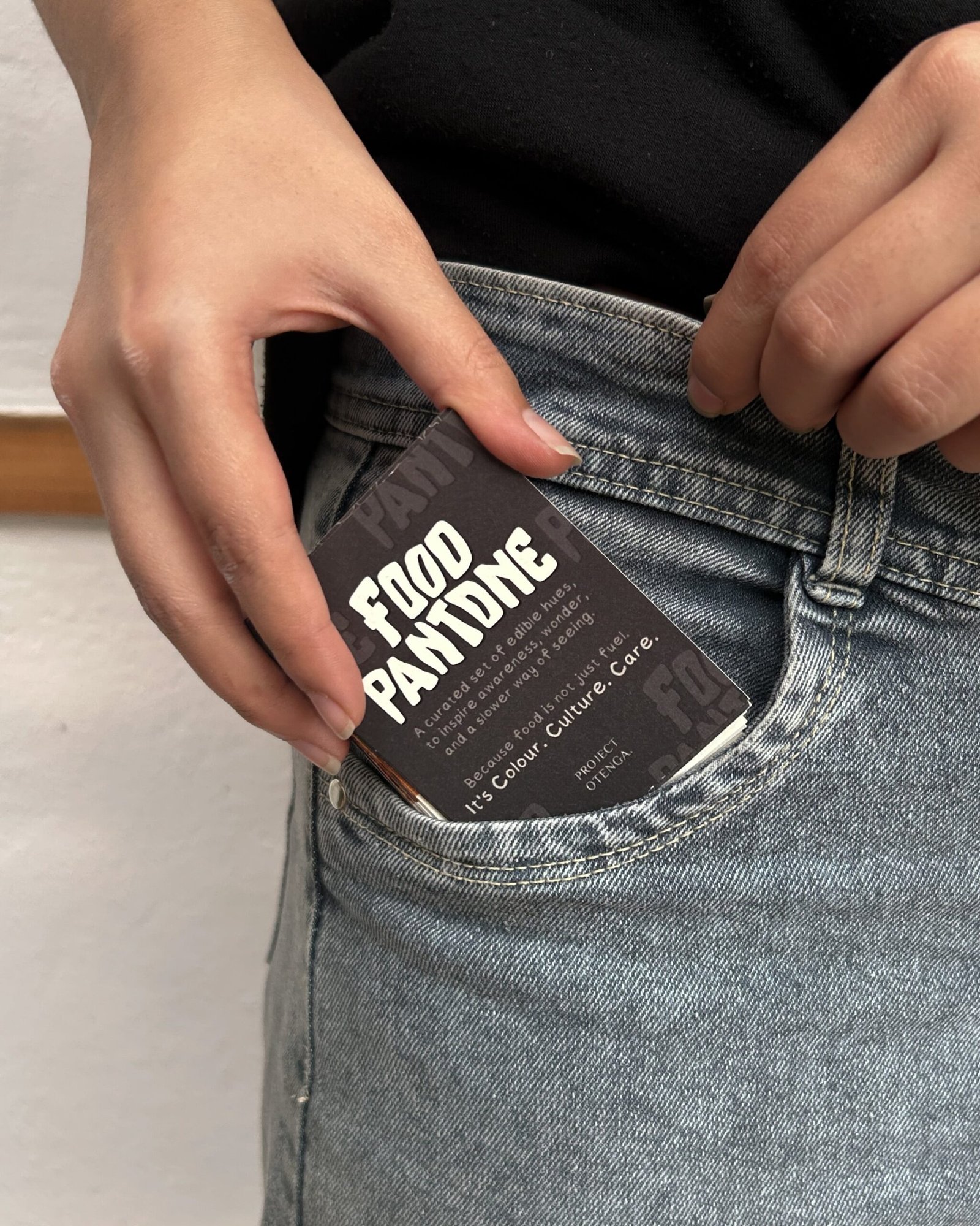 Otenga Food Pantone - Image 2